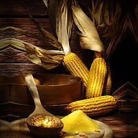 Buy canvas prints of maize with corns and polenta by Alessandro Della Torre