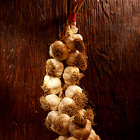 Buy canvas prints of Garlic vegetable health on a wooden table by Alessandro Della Torre