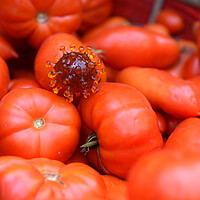 Buy canvas prints of coronavirus covid-19 on tomatoes in a basket by Alessandro Della Torre