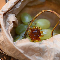 Buy canvas prints of coronavirus covid-19 into a bag of grapes green by Alessandro Della Torre
