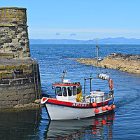 Buy canvas prints of Dunure harbour arrival by Allan Durward Photography