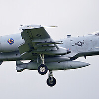 Buy canvas prints of A-10 Thunderbolt by Allan Durward Photography