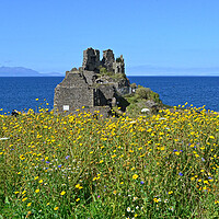 Buy canvas prints of Dunure Castle and wilf flower bed by Allan Durward Photography