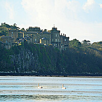 Buy canvas prints of Culzzean castle and swans by Allan Durward Photography