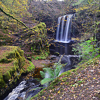 Buy canvas prints of Dalcairney waterfall East Ayrshire by Allan Durward Photography