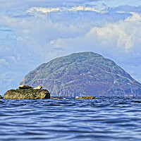 Buy canvas prints of Ailsa Craig and seals by Allan Durward Photography