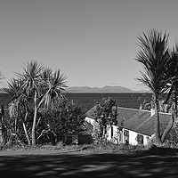 Buy canvas prints of Dunure palm trees and Arran`s mountains by Allan Durward Photography