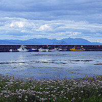 Buy canvas prints of Maidens harbour, South Ayrshire by Allan Durward Photography