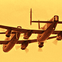 Buy canvas prints of Avro Lancasters (sepia) by Allan Durward Photography