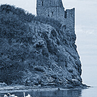 Buy canvas prints of Swans feeding below Greenan Castle, Ayr by Allan Durward Photography