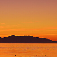 Buy canvas prints of Arran mountains silhouetted at sunset by Allan Durward Photography