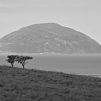Buy canvas prints of Windswept trees by Allan Durward Photography