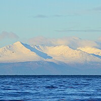 Buy canvas prints of Goat Fell on Arran after a snowfall by Allan Durward Photography