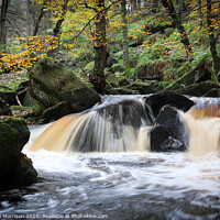 Buy canvas prints of Autumn waterfall in Padley Gorge by Stephen Morrison