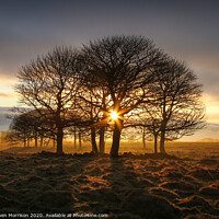 Buy canvas prints of Sunrise through the trees on a misty moor by Stephen Morrison