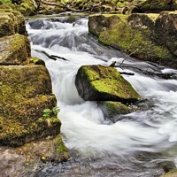 Buy canvas prints of The River Fowey At Golitha Falls, Cornwall. by Neil Mottershead