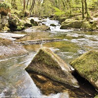 Buy canvas prints of The River Fowey At Golitha. by Neil Mottershead