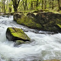 Buy canvas prints of White Water On The River Fowey. by Neil Mottershead