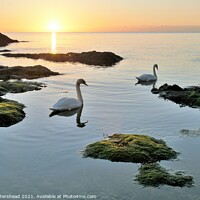 Buy canvas prints of Sunrise At Polridmouth Cove. by Neil Mottershead