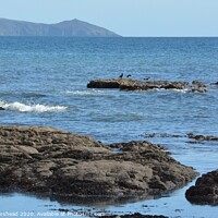 Buy canvas prints of Rame Head from Downderry beach. by Neil Mottershead