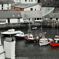 Buy canvas prints of The Fishing Fleet - Polperro, Cornwall. by Neil Mottershead