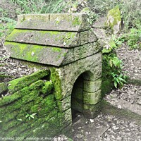 Buy canvas prints of The Holy Well Of St Keyne , Cornwall. by Neil Mottershead