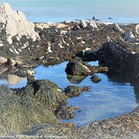 Buy canvas prints of Rock Pool Reflections. by Neil Mottershead