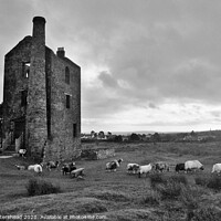 Buy canvas prints of Houseman's Engine House, Minions, Cornwall. by Neil Mottershead