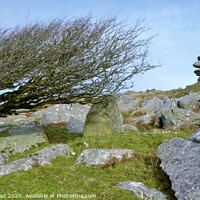 Buy canvas prints of The Cheesewring, Bodmin Moor, Cornwall. by Neil Mottershead