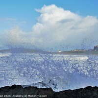Buy canvas prints of Sea Spray, Fistral Beach, Newquay. by Neil Mottershead