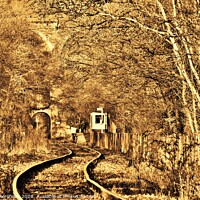 Buy canvas prints of The Looe Valley Line Collection. by Neil Mottershead