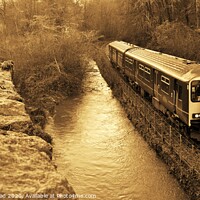 Buy canvas prints of The Looe Valley Line Collection. by Neil Mottershead
