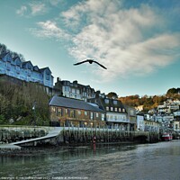 Buy canvas prints of The Sardine Factory, West Looe, Cornwall. by Neil Mottershead