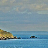Buy canvas prints of Rame Head From Talland Bay. by Neil Mottershead