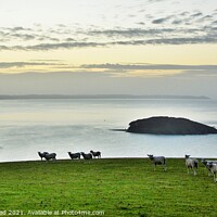Buy canvas prints of Dawn Over Looe Bay. by Neil Mottershead