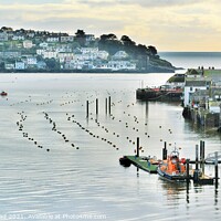 Buy canvas prints of Fowey Harbour, Cornwall In Winter. by Neil Mottershead