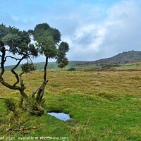 Buy canvas prints of Stowe's Hill, Bodmin Moor, Cornwall. by Neil Mottershead