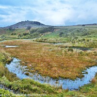 Buy canvas prints of Stowe's Hill, Bodmin Moor, Cornwall. by Neil Mottershead