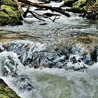Buy canvas prints of The River Fowey At Drayne's Wood & Golitha Falls. by Neil Mottershead