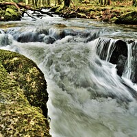 Buy canvas prints of Golitha Falls, Cornwall. by Neil Mottershead