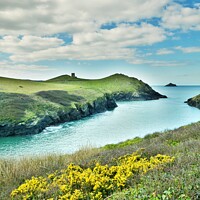 Buy canvas prints of Clouds & Gorse At Port Quin, Cornwall. by Neil Mottershead