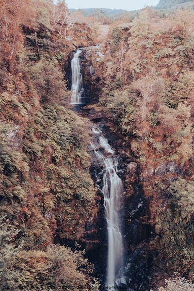 Glenashdale Falls, Arran Picture Board by Gavin Liddle