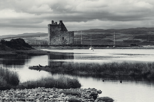 Lochranza Castle, Arran Picture Board by Gavin Liddle