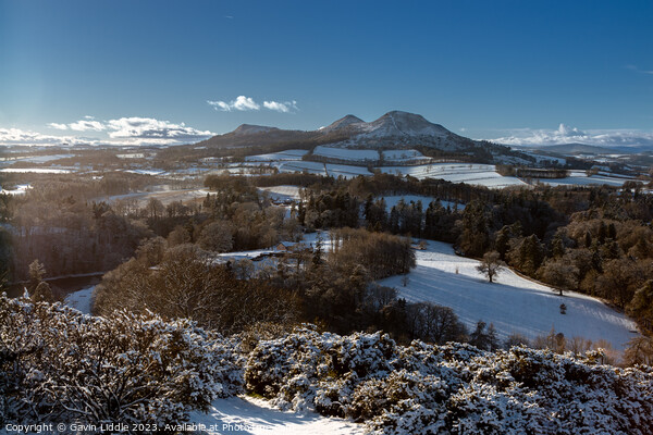 Scotts View, Scottish Borders, in the snow Picture Board by Gavin Liddle