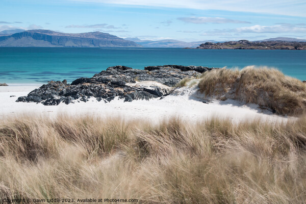 White Beach, Iona Picture Board by Gavin Liddle