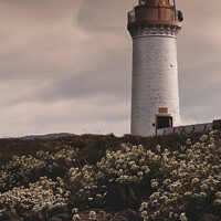 Buy canvas prints of Tobermory Lighthouse by Gavin Liddle