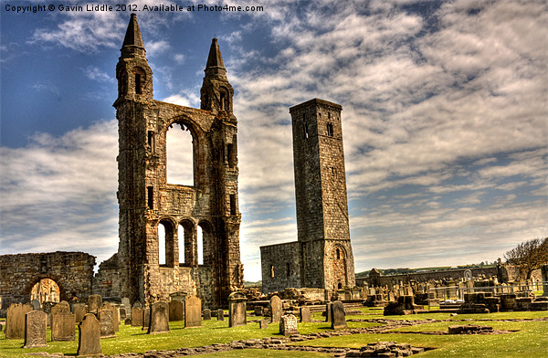 St Andrews Cathedral Picture Board by Gavin Liddle