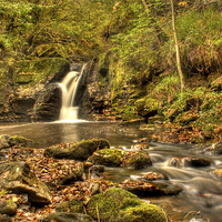 Buy canvas prints of Autumn Stream by Gavin Liddle