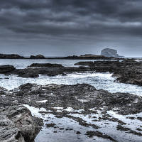 Buy canvas prints of  Rocks and the Bass Rock by Gavin Liddle