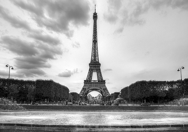  The Eiffel Tower, Paris Picture Board by Gavin Liddle